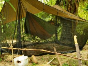 amazonas daszek moskito